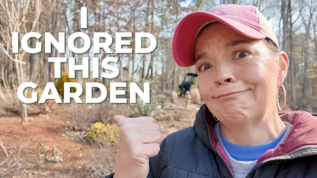 The Garden I’ve Been Ignoring… and Why It Still Matters