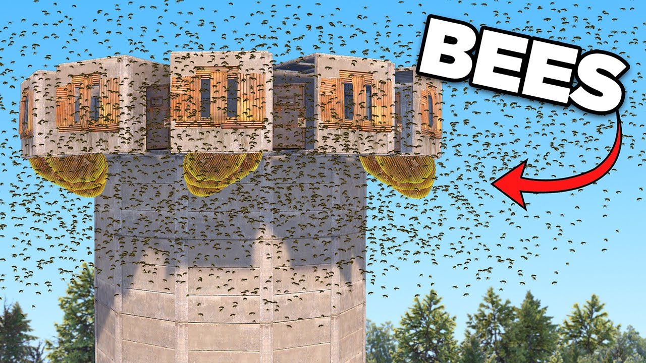 We Unleashed 541,800 Bees on Roof Campers