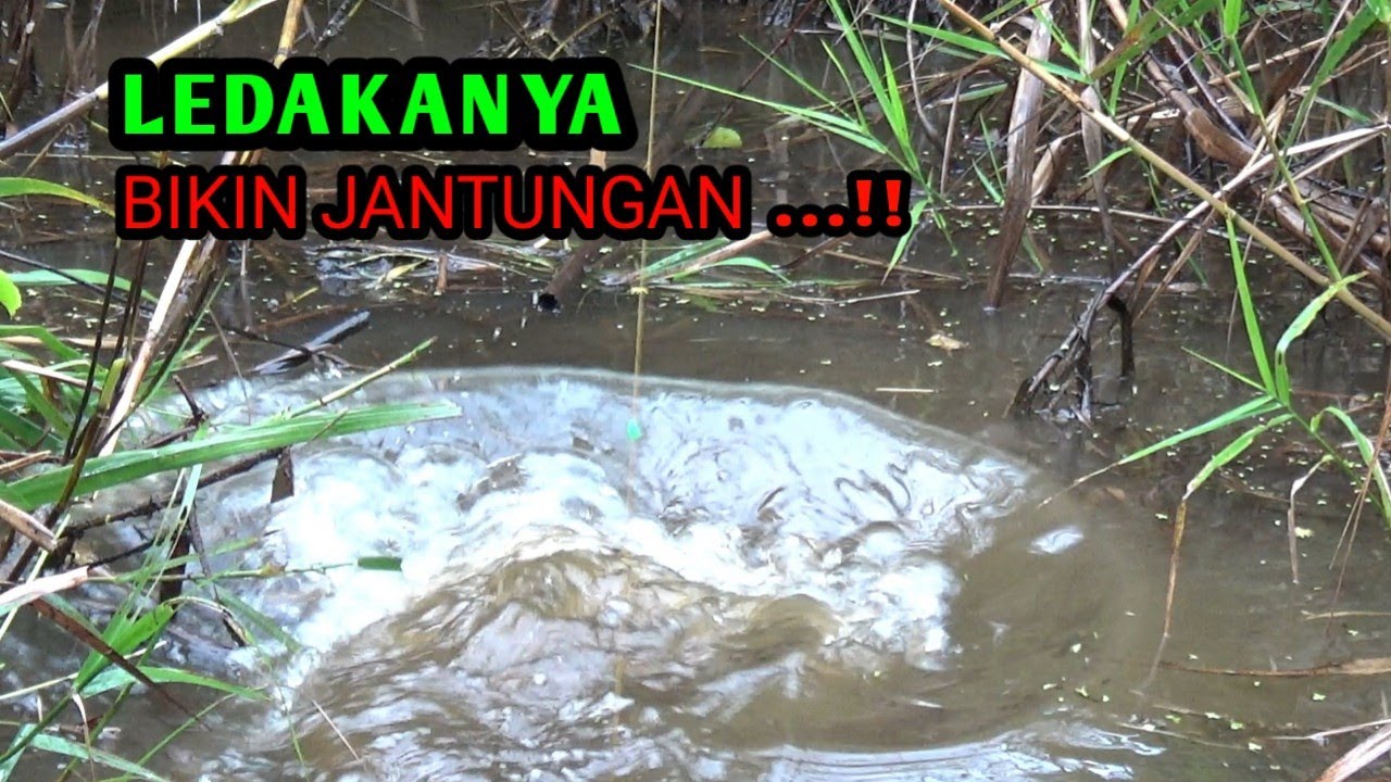Mujurnya pemancing ini Bisa Angkat ikan Besar...!!!