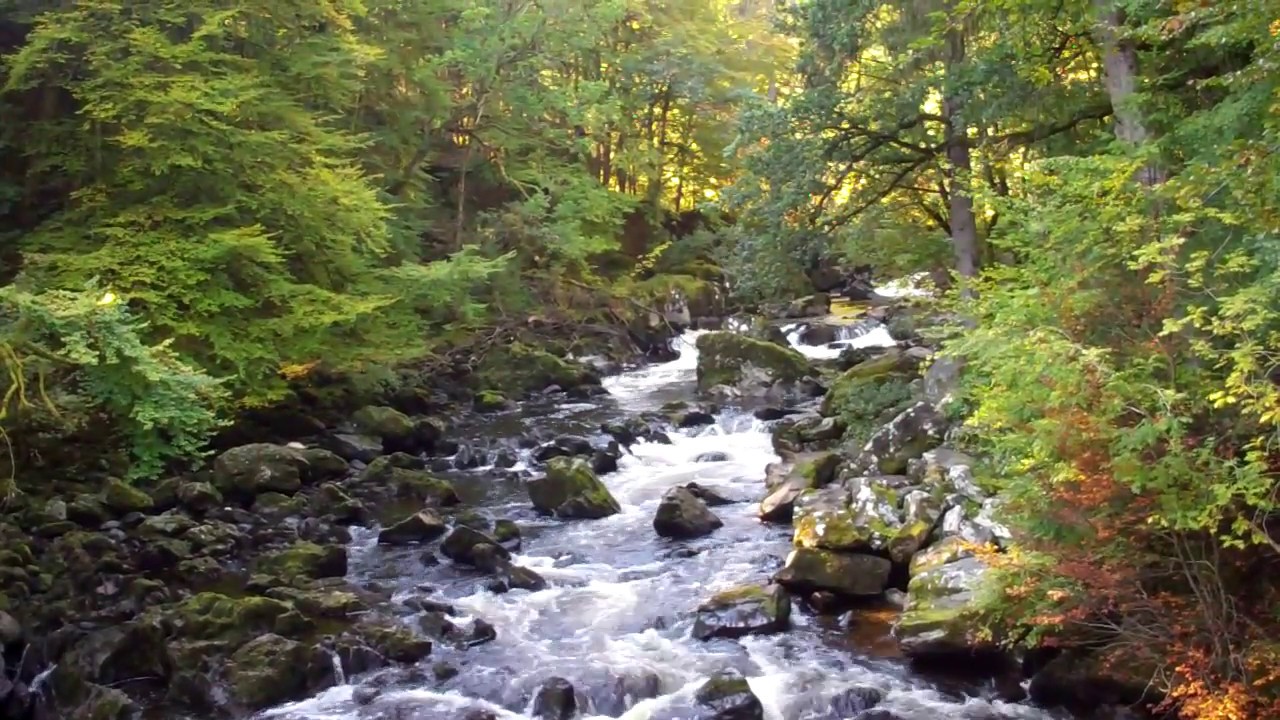 Autumn Hermitage Waterfall By Dunkeld Perthshire Scotland