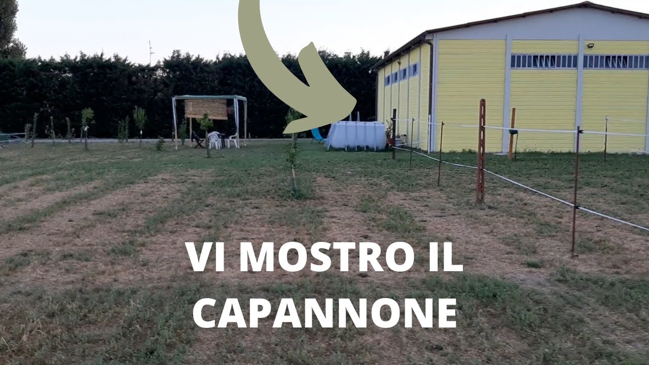 VI MOSTRO IL CAPANNONE