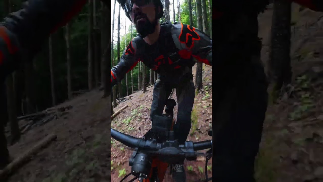 L&uuml;bbecke MTB Trail