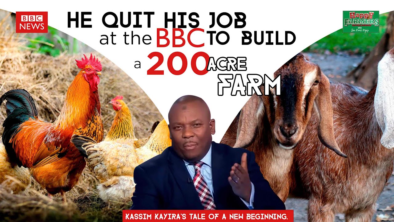 He quit his job at the BBC to build a 200-acre farm. Kassim Kayira's tale of a new beginning.