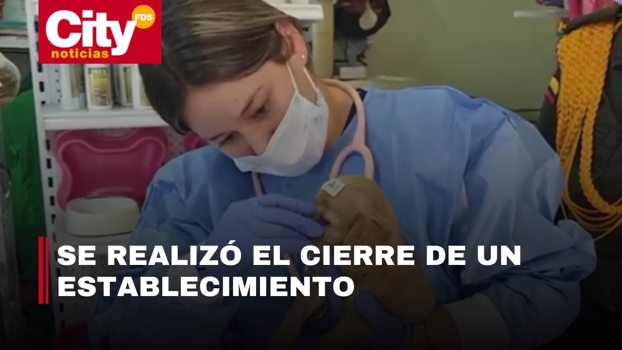 Siete animales fueron rescatados en un operativo en la avenida Caracas | CityTv