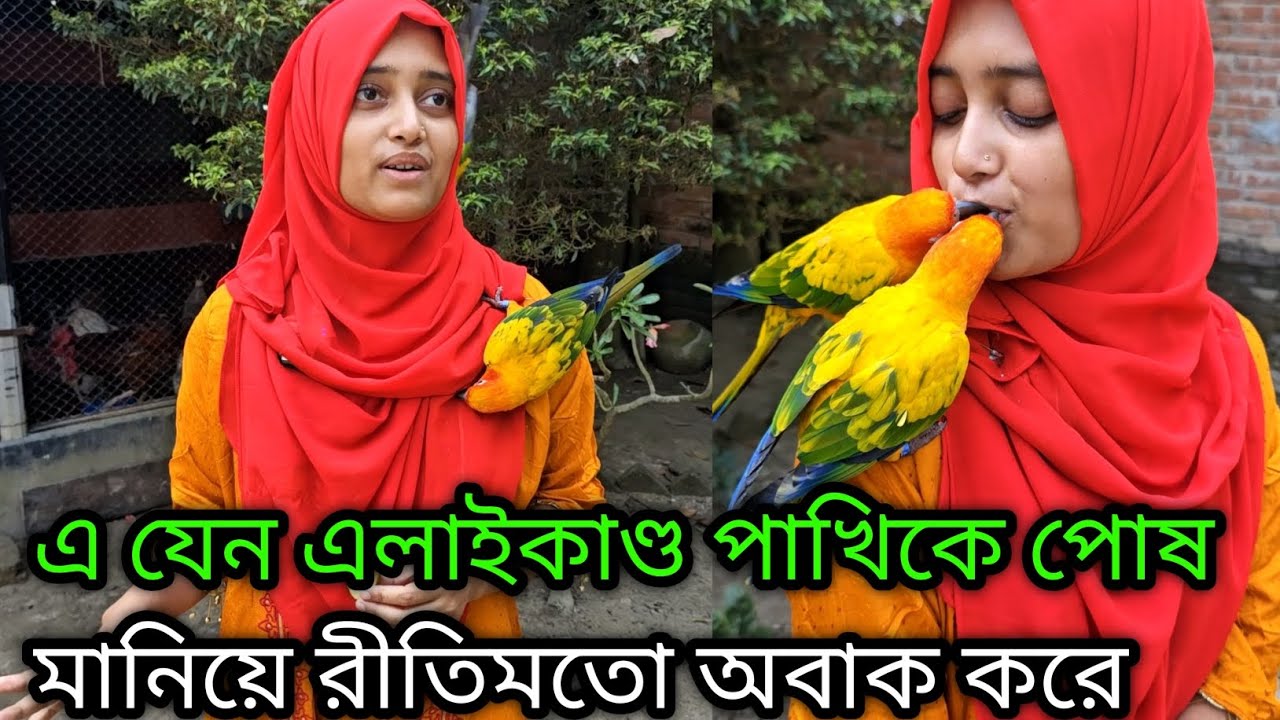 এ যেন এলাইকাণ্ড পাখিকে পোষ মানিয়ে রীতিমতো অবাক করে দিলেন ঝিনাইদার এই তরুণী,