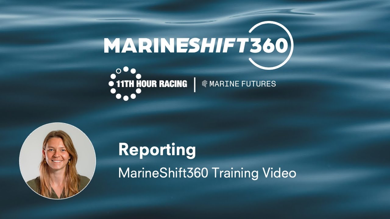 Reporting