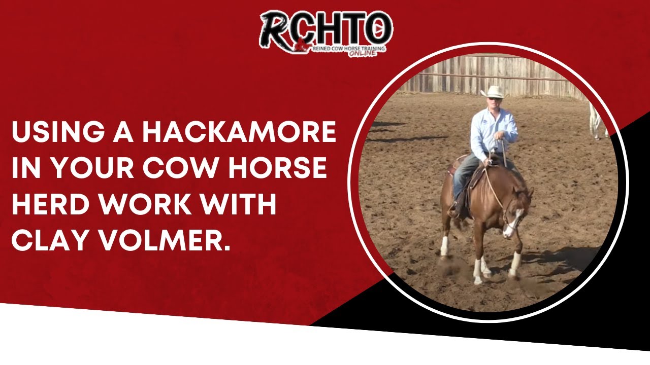 Using A Hackamore In Your Cow Horse Herd Work with Clay Volmer.