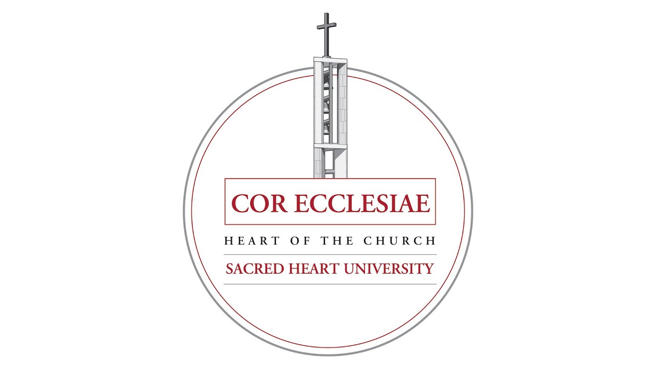 Cor Ecclesiae: Pope Leo's First 100 Days (Episode 1)
