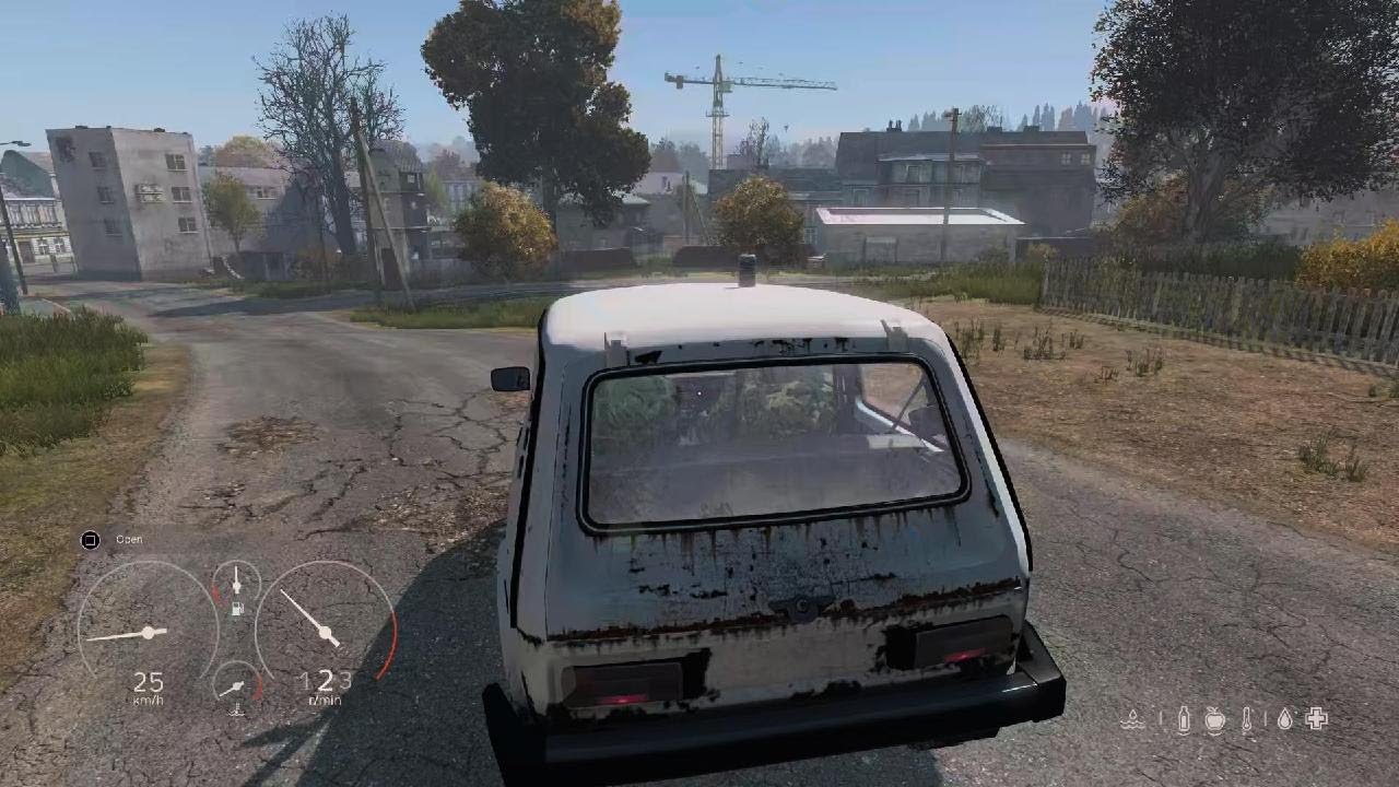 DayZ_20260210231730