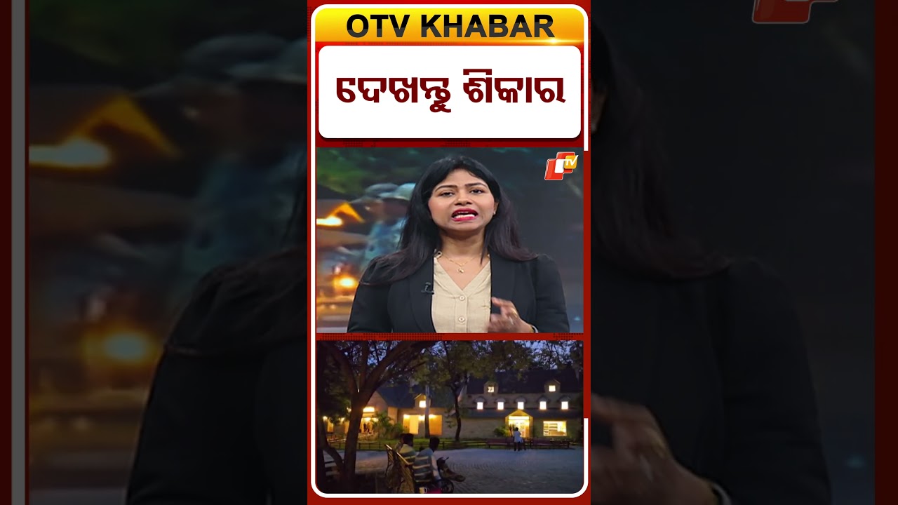 ଦେଖନ୍ତୁ ଶିକାର  !   #OTVShorts