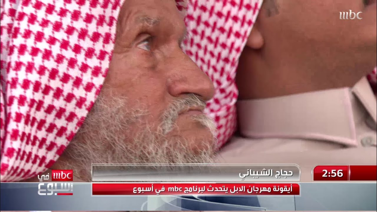 حجاج الشيباني أيقونة مهرجان الإبل.. تقرير نرجس العوامي