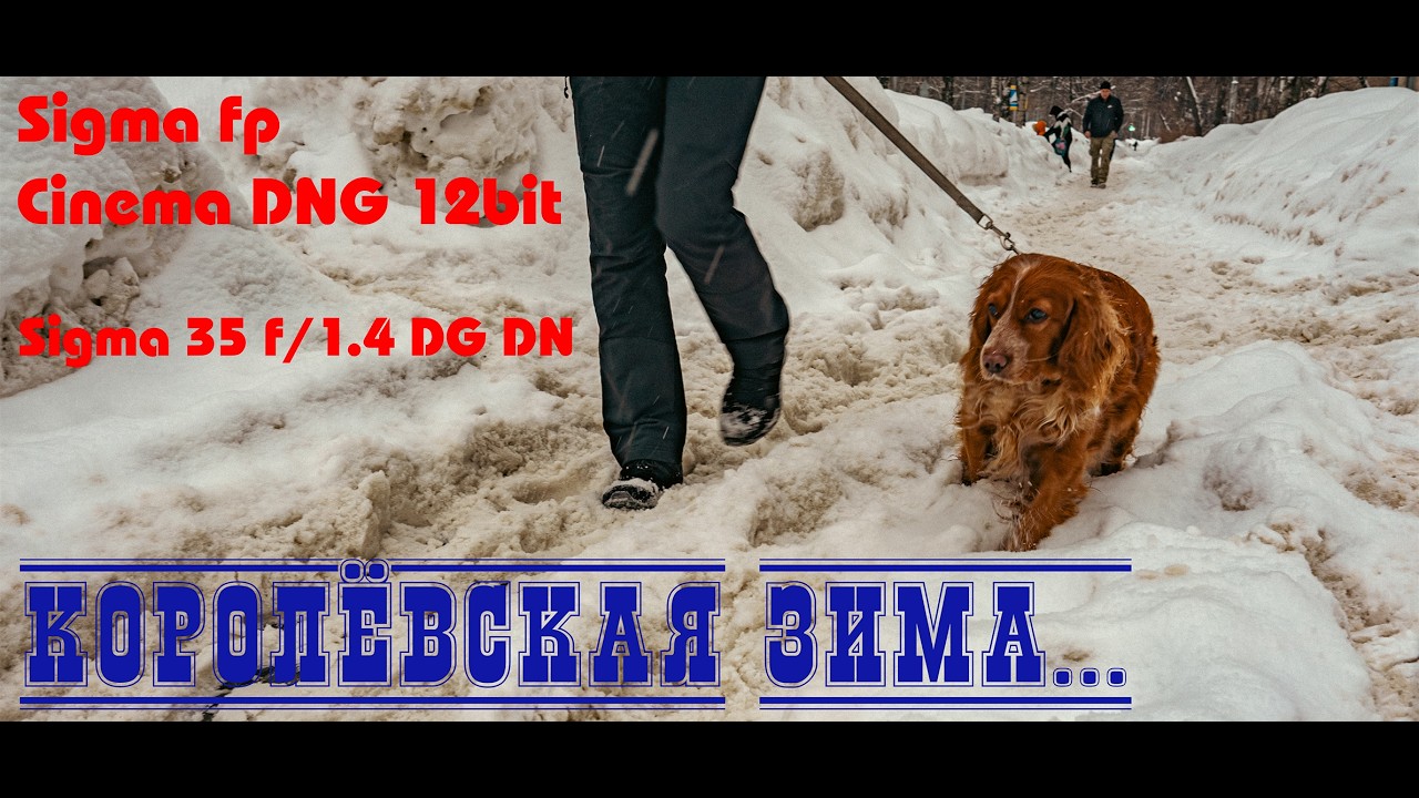 Королёвская зима. Пример съёмки с рук на камеру без стабилизации. CDNG 12 bit + DaVinci Resolve.