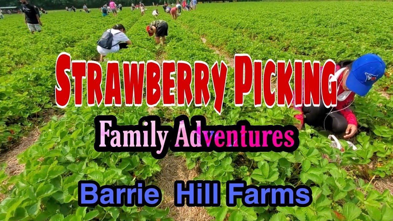 Barrie Hill Farms Family Adventures 
