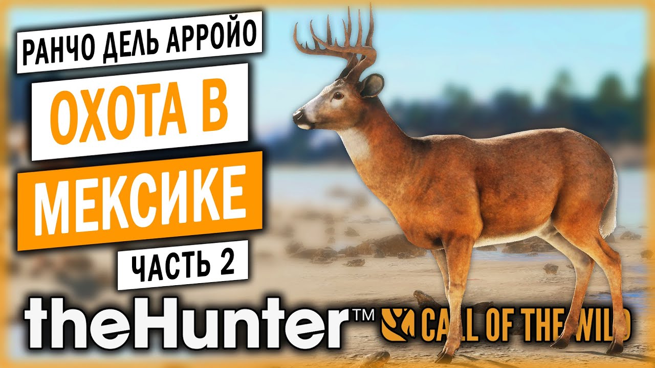 theHunter Call of the Wild #2 🦃 - ОХОТА НА ОЛЕНЕЙ В МЕКСИКЕ - Охота с Собакой (2021)