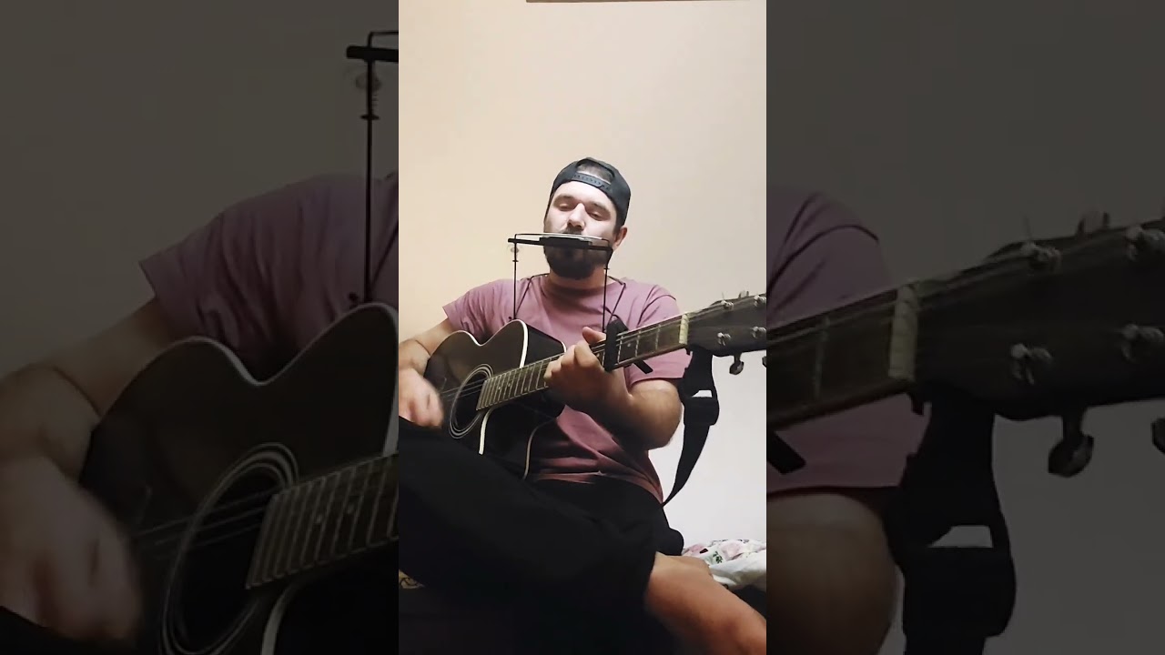Tambourine man harmonica🫶 #acoustic #harmonica
