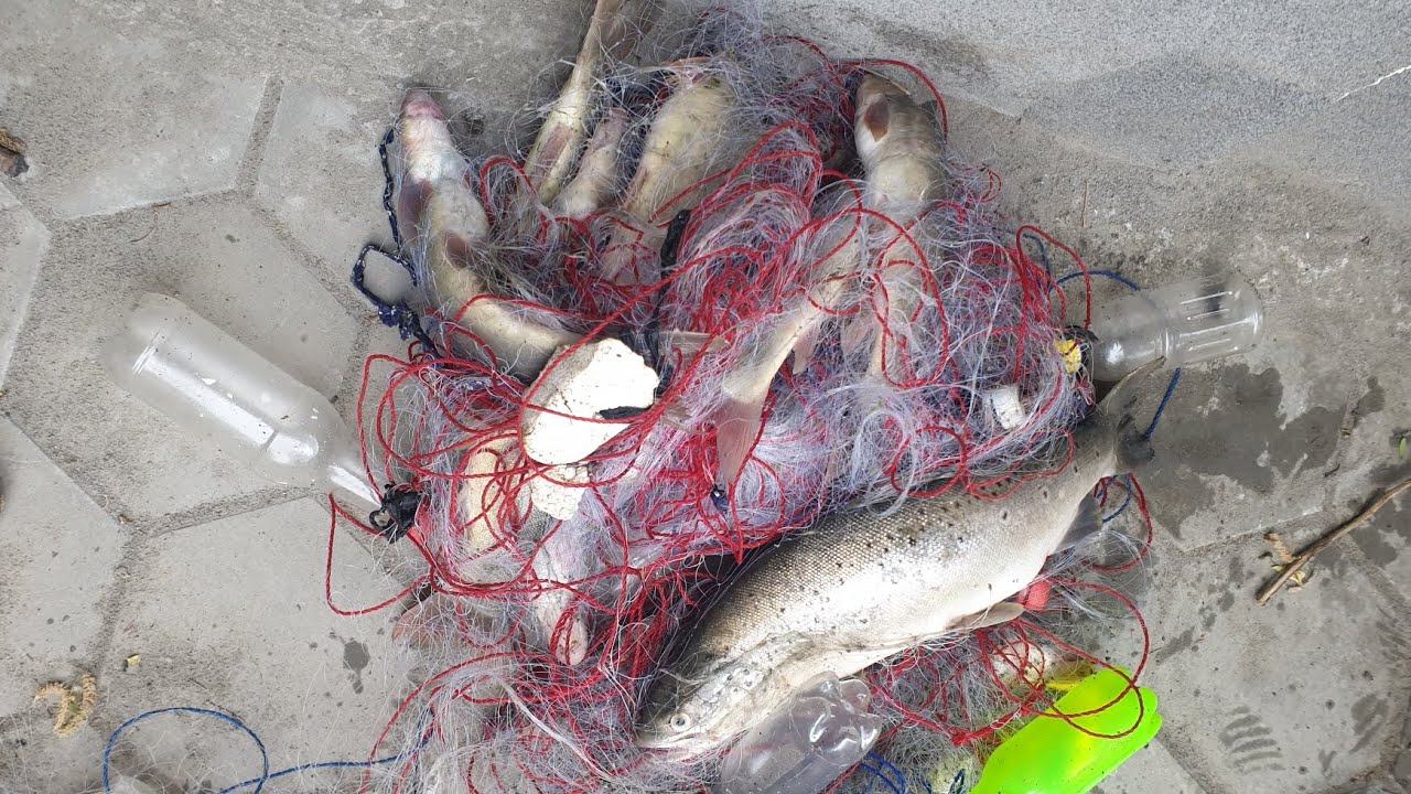 Trout Fishing at Gilgit baltistan 🥰