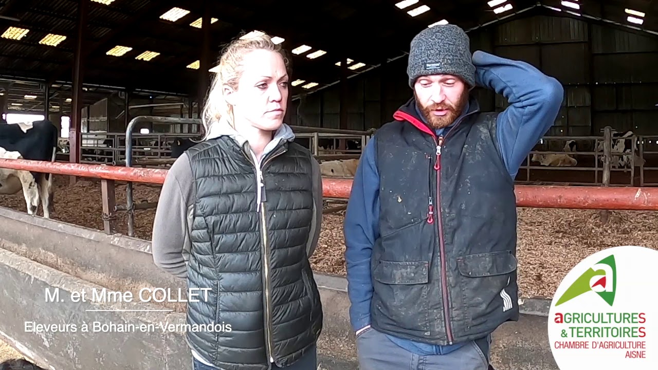 Série Vidéos Elevage - Les alternatives à la paille, Interview d'éleveurs