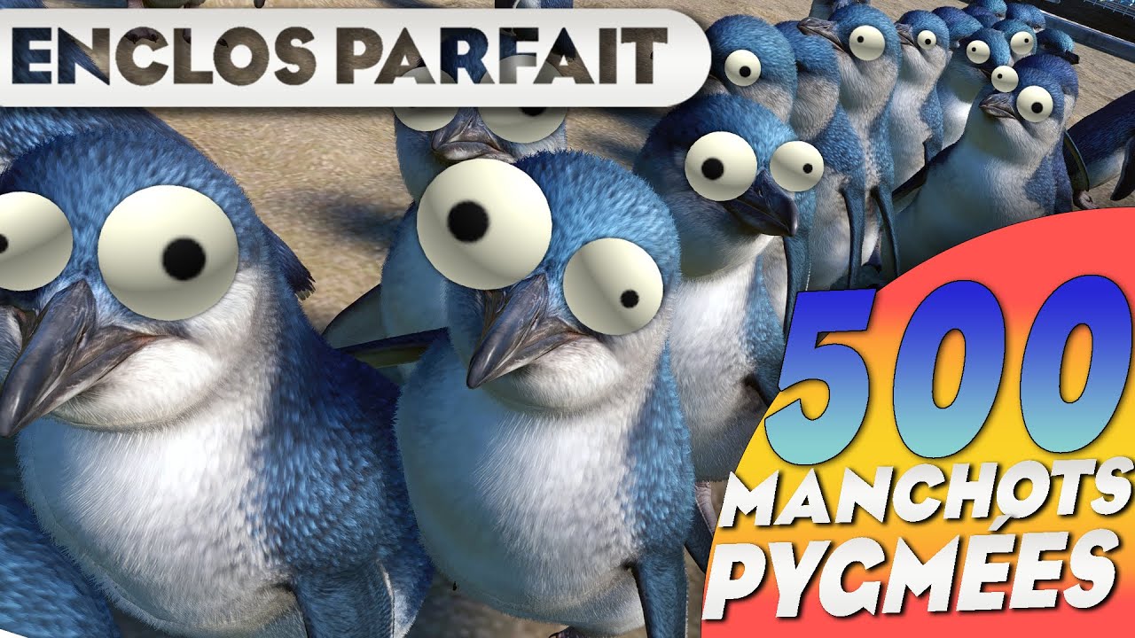 500 Manchots Pygmées Heureux dans Planet Zoo, mission Impossible ? (Crash test)