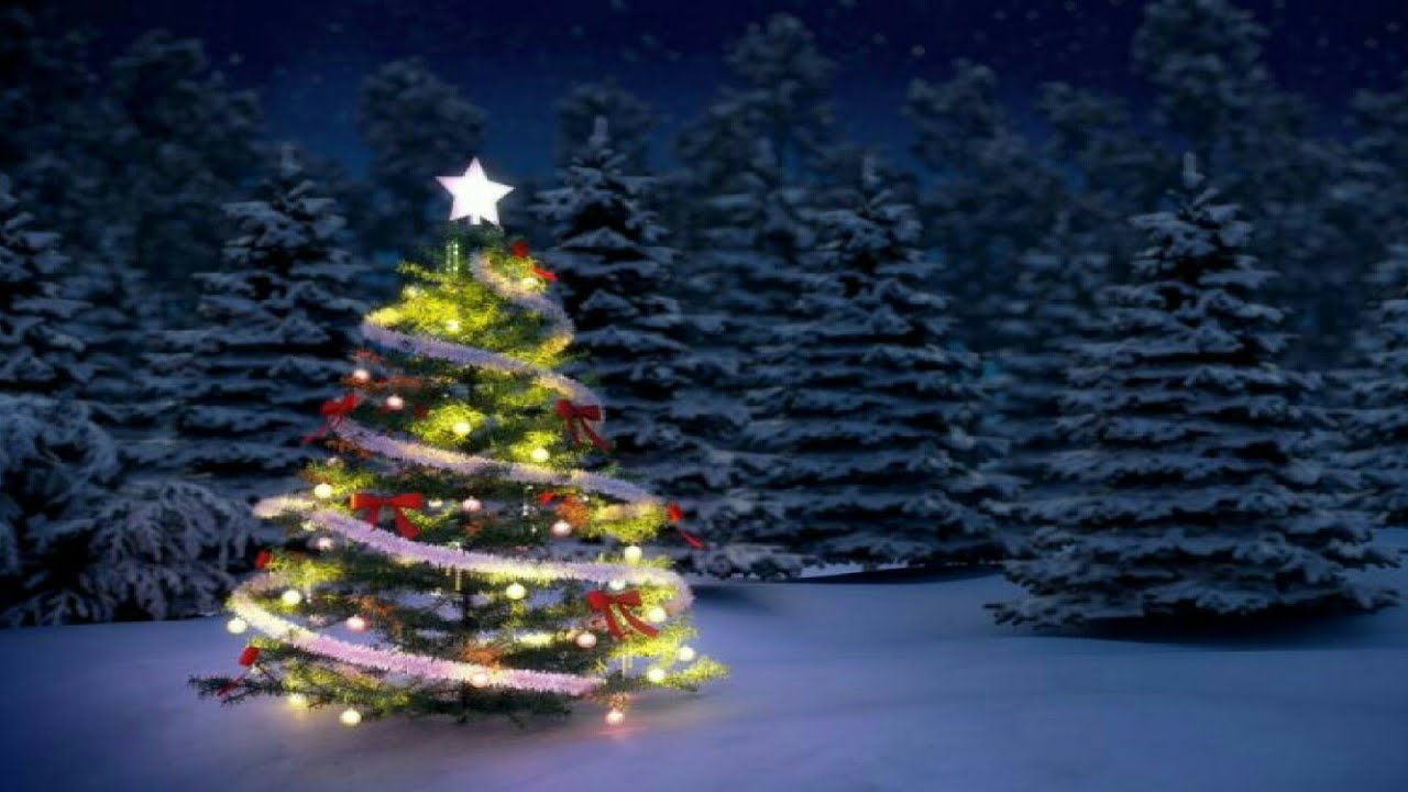 Aniceto Molina - El Gallo Mojado RMX / Cumbia Jalada 🌑 DJ Michel