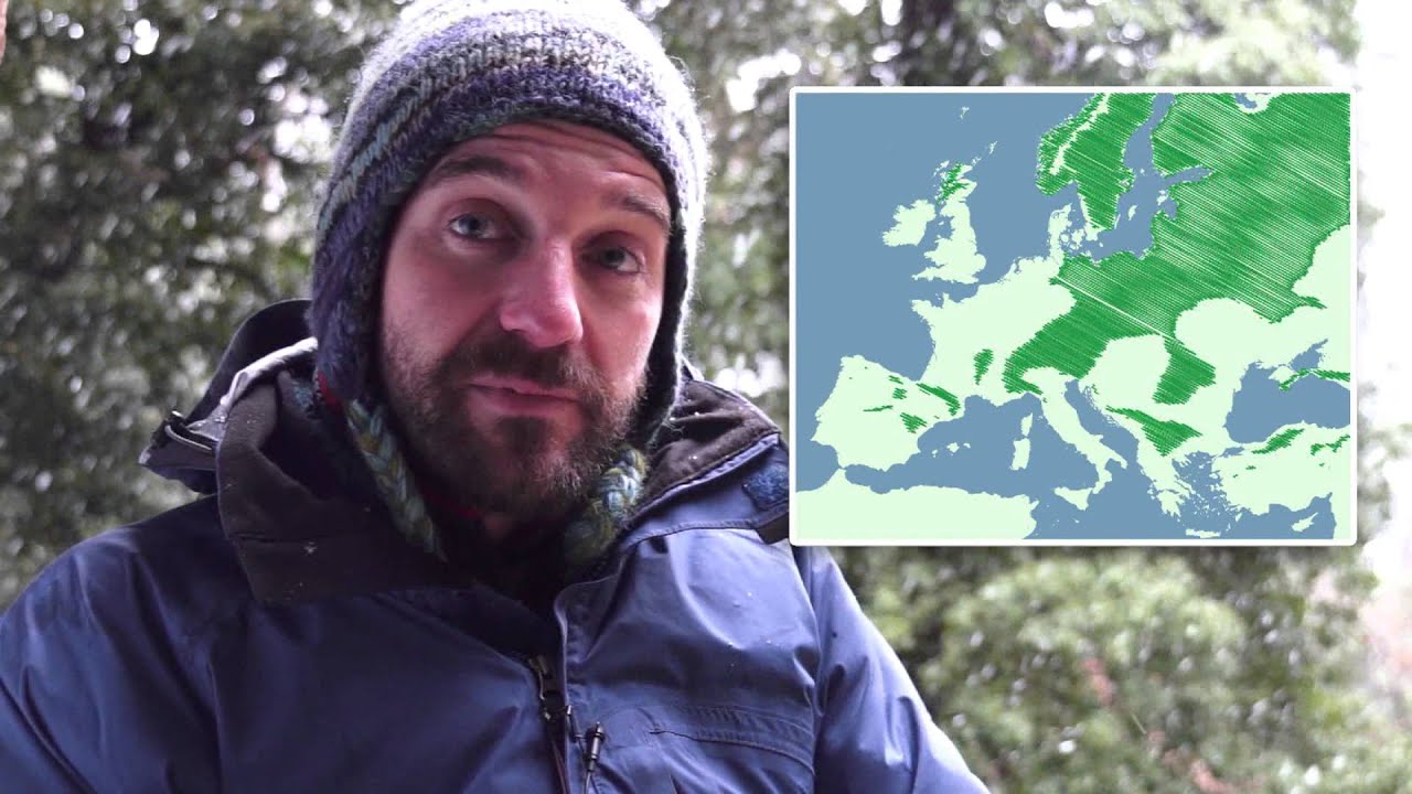 Està desapareixent el pi roig de la serra de Prades?
