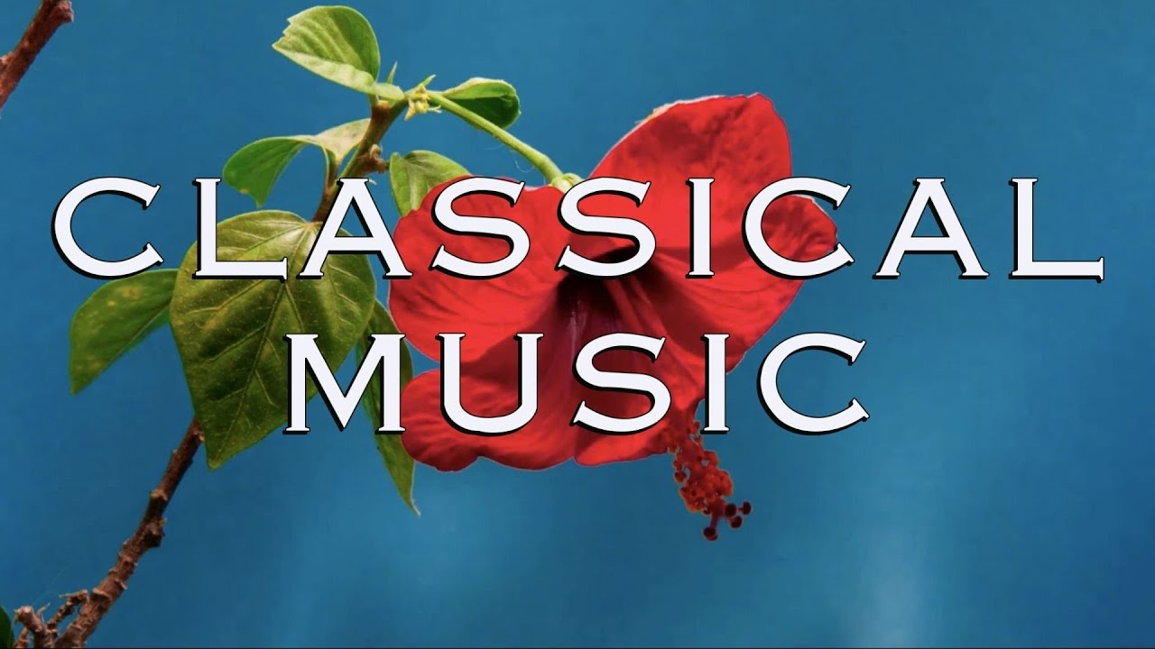Beautiful flowers / Сalm music / Relaxation