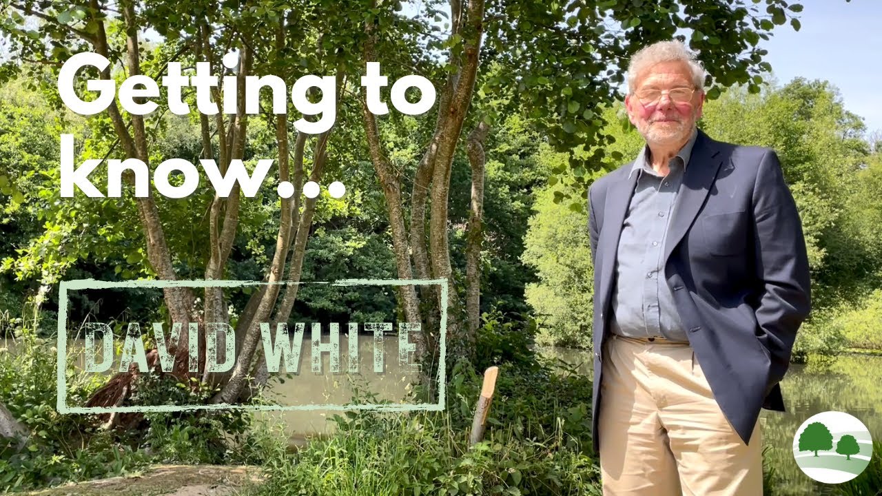 Getting to know: David White
