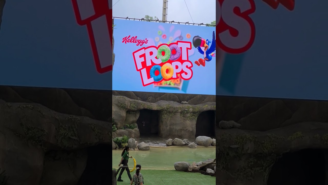Wings of the World - Bird Paradise's presentation video 1