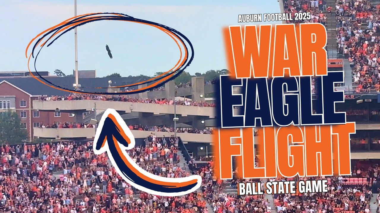 War Eagle Flight | Auburn Football vs. Ball State 2025 | 4K Replay