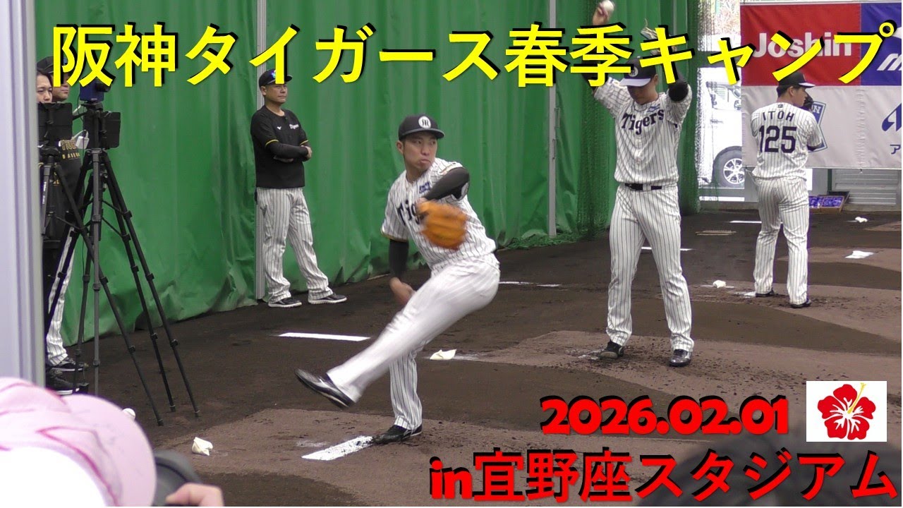 初日ブルペン‼石井投手,及川投手,伊原投手,今朝丸投手,伏見捕手‼阪神タイガース春季キャンプ2026.in宜野座.