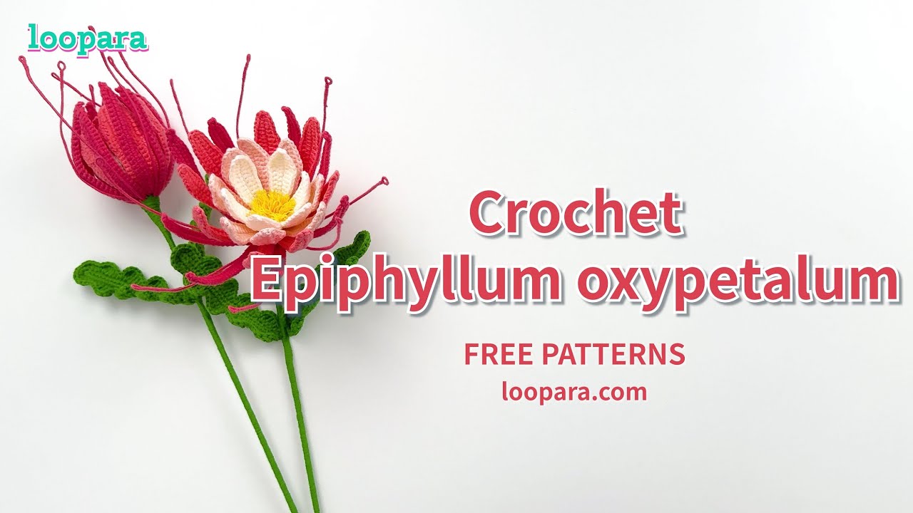 Crochet Epiphyllum Oxypetalum Flower - Free Pattern