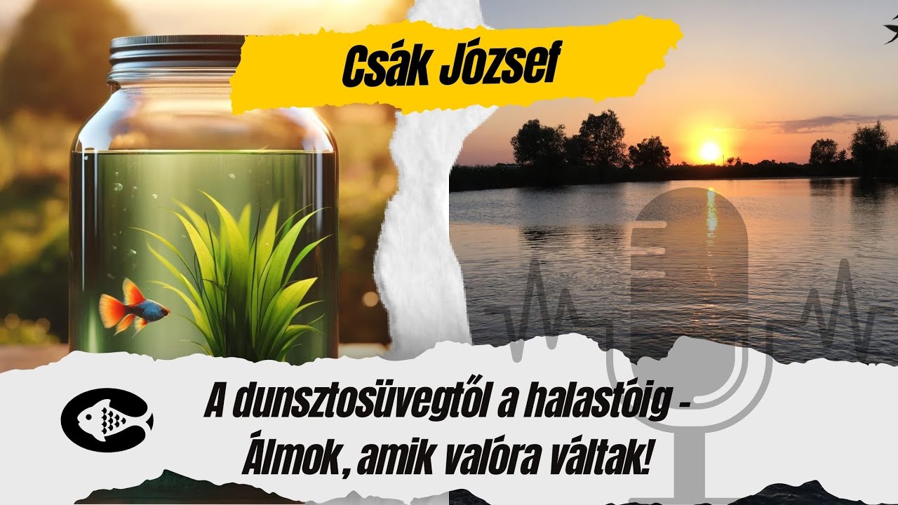 Az akvarisztika útja: A dunsztosüvegtől a halastóig – Álmok, amik valóra váltak!