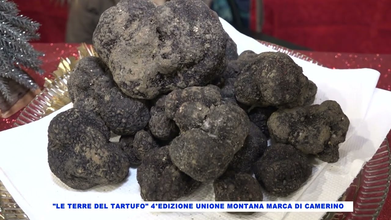 Le Terre del Tartufo 4° Edizione Unione Montana Marca di Camerino