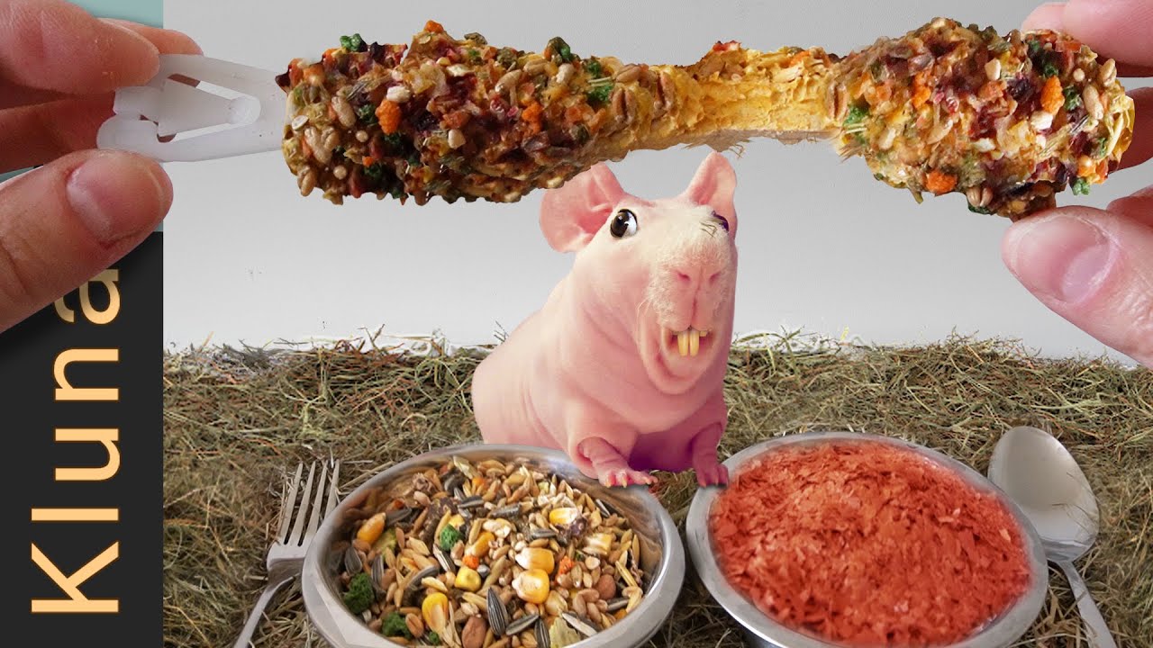 ASMR mukbang with my pets