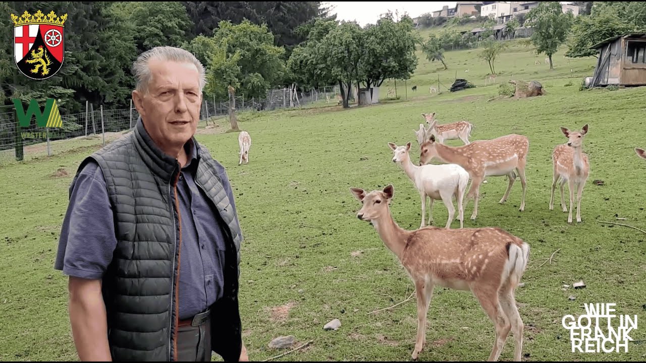 Westerw&auml;lder Damwildzucht - Matthias Eul