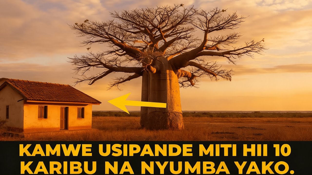 Kamwe usipande miti hii 10 karibu na nyumba yako.