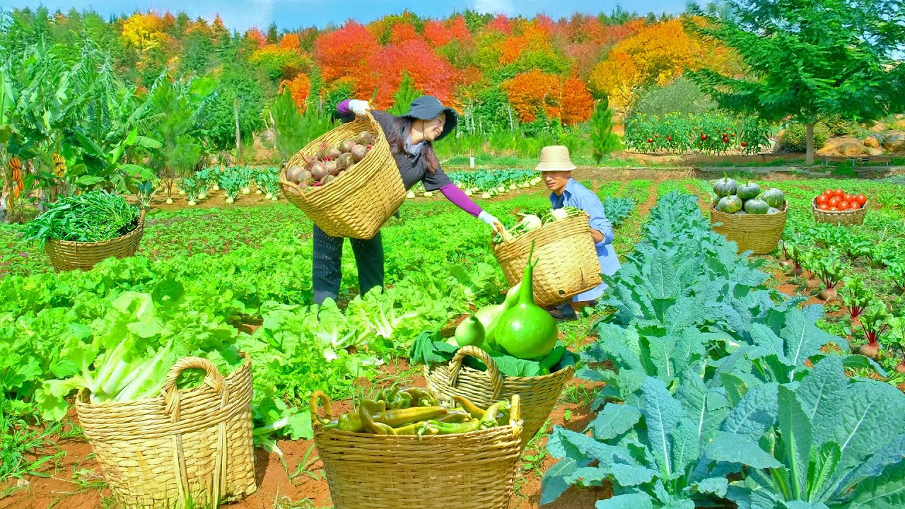 January Harvest: Homegrown Vegetables And Fruits - Cook With Them - Make Steamed Banana Cake