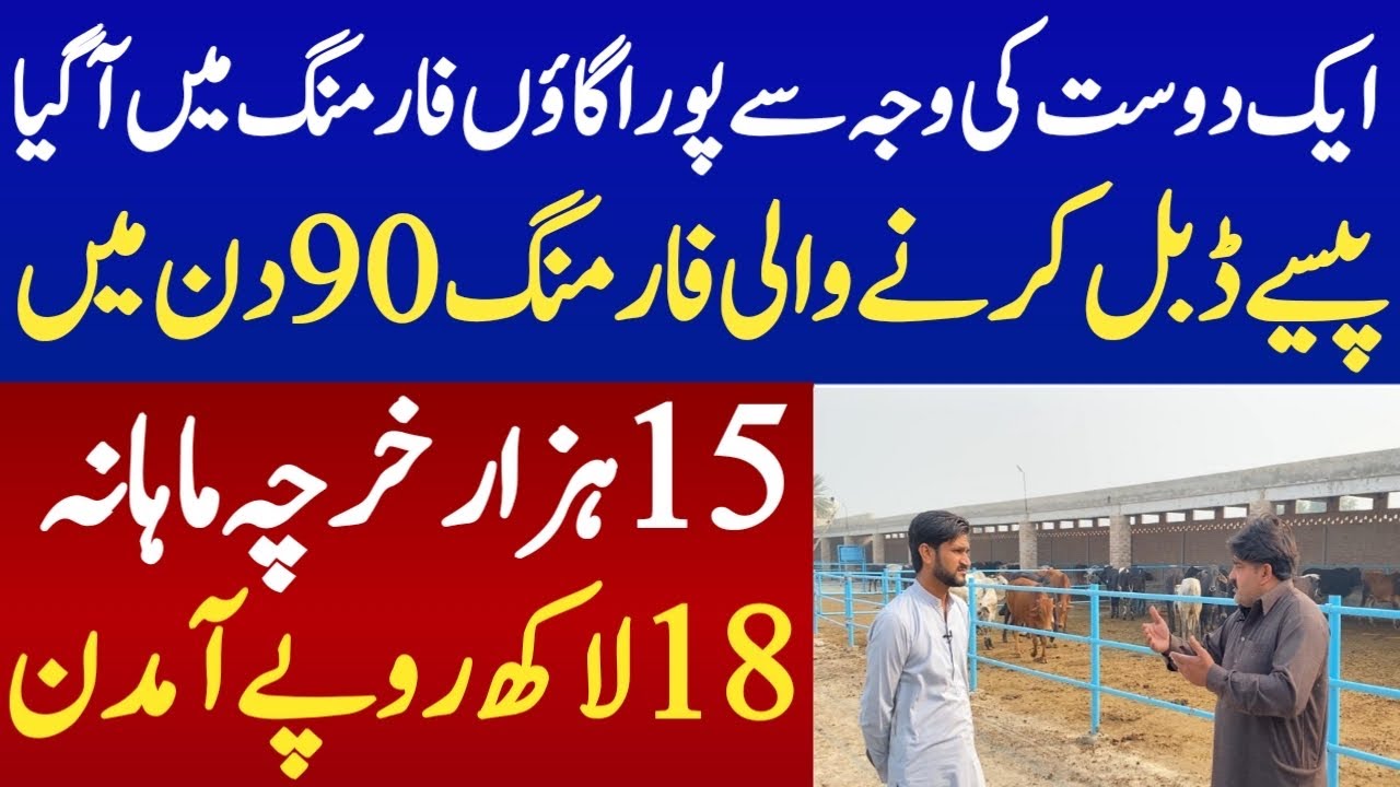90 Days Business idea of Bachra farming