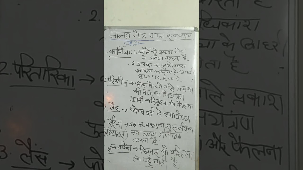 Human eye parts and function of class 10 