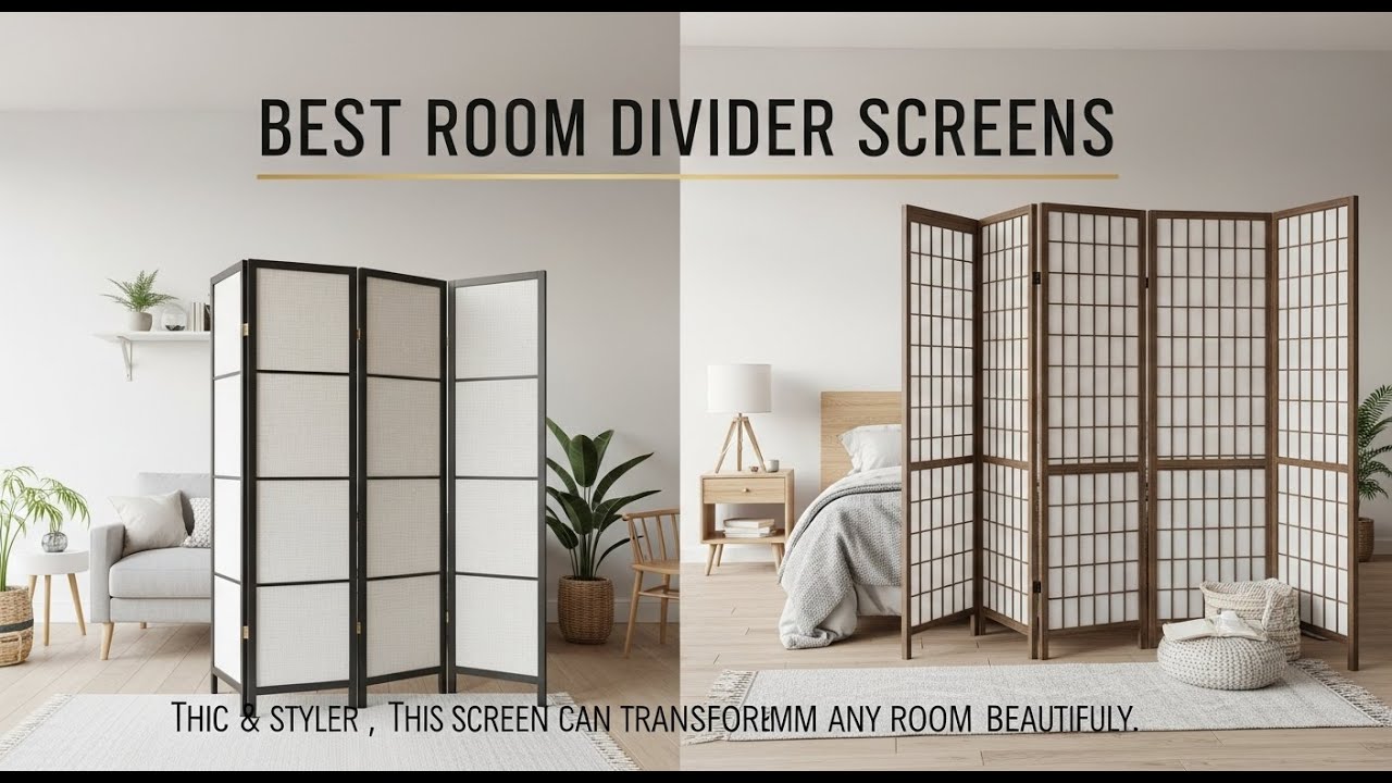 TOP 5 Best Room Divider Screens 2026 | Affordable home decor