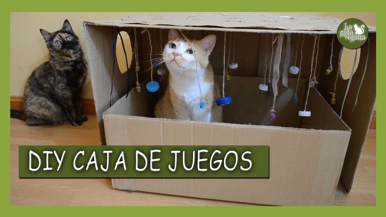 DIY CAJA DE JUEGOS PARA GATOS CASERA, FACIL Y BARATA | JUGUETES CASEROS PARA GATOS | DIY CAT TOYS