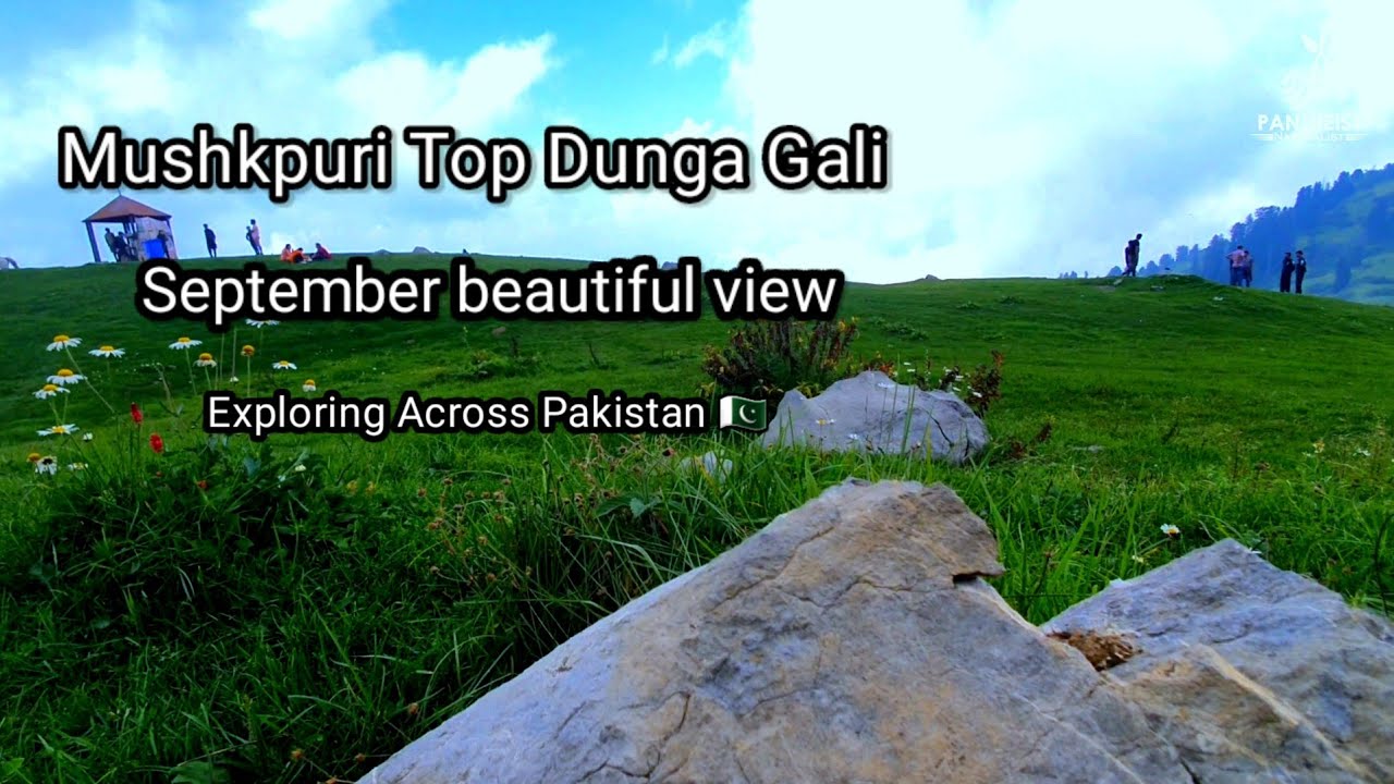 Mushkpuri Top Dunga Gali  / Explorer Across Pakistan 🇵🇰