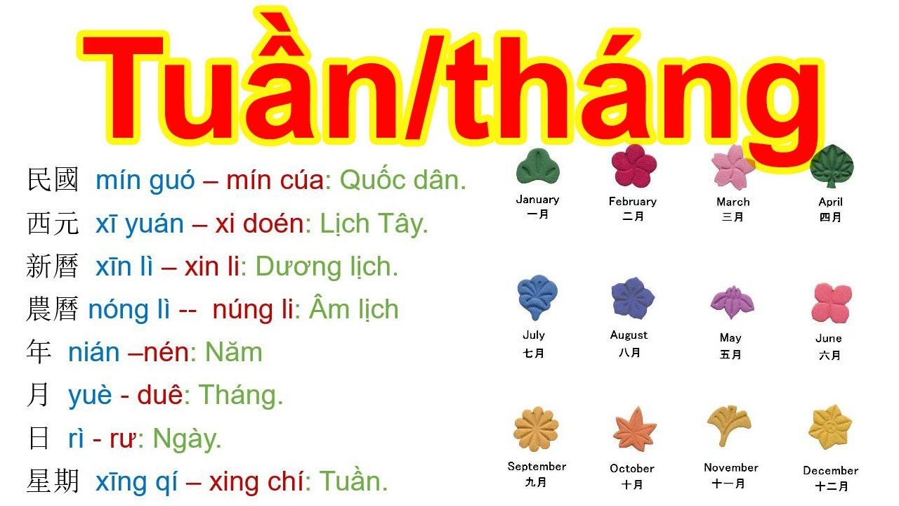 TUẦN/THÁNG | TỪ THƯỜNG DÙNG TRONG GIAO TIẾP TIẾNG TRUNG