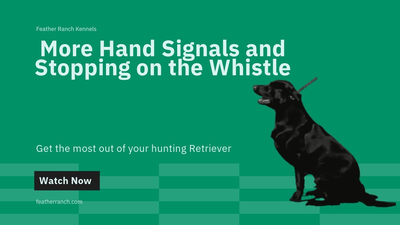 More Hand Signals and Stopping on the Whistle