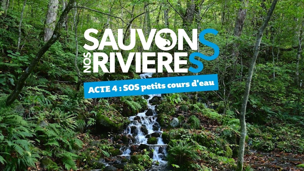 Sauvons nos rivières 4 - LE FILM - Protégeons les petits cours d’eau !