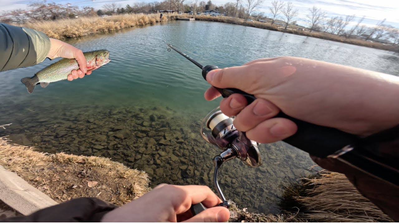 This Small Pond Is Loaded With Rainbow Trout