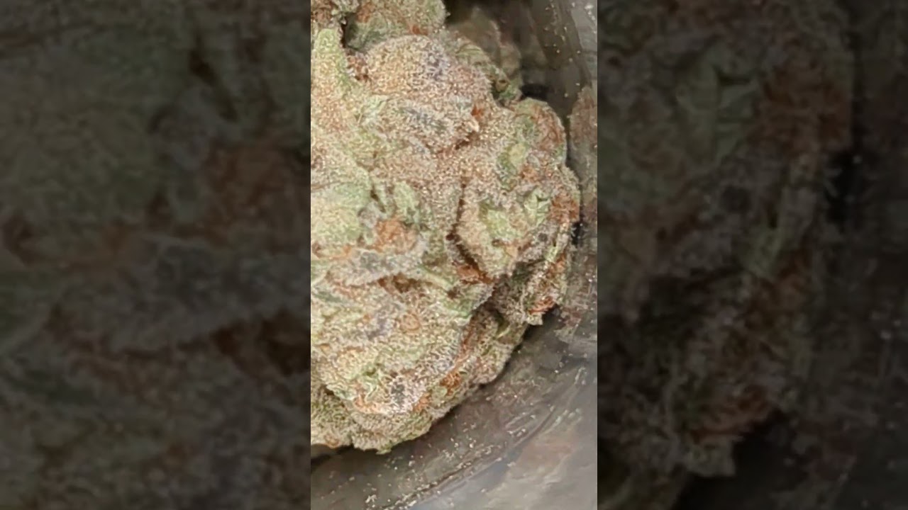GROW BLACK CHERRY PUNCH ( UK PRESCRIPTION MEDICATION)
