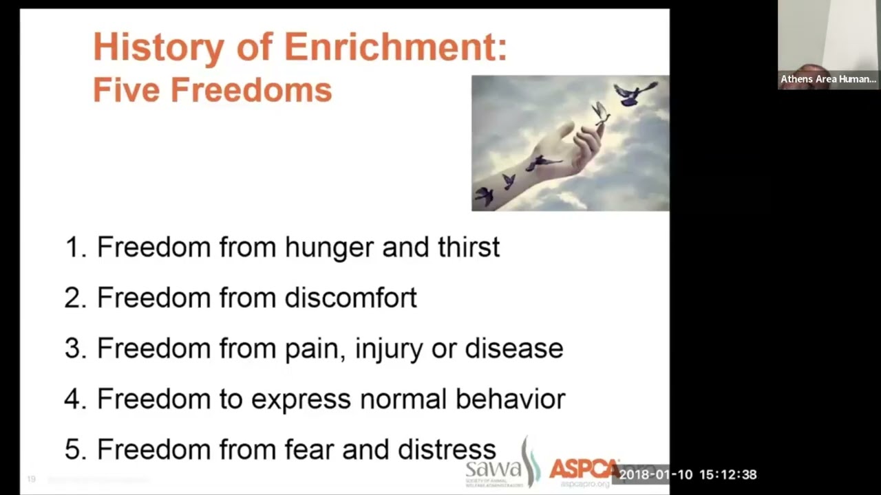 Animal Enrichment Best Practices