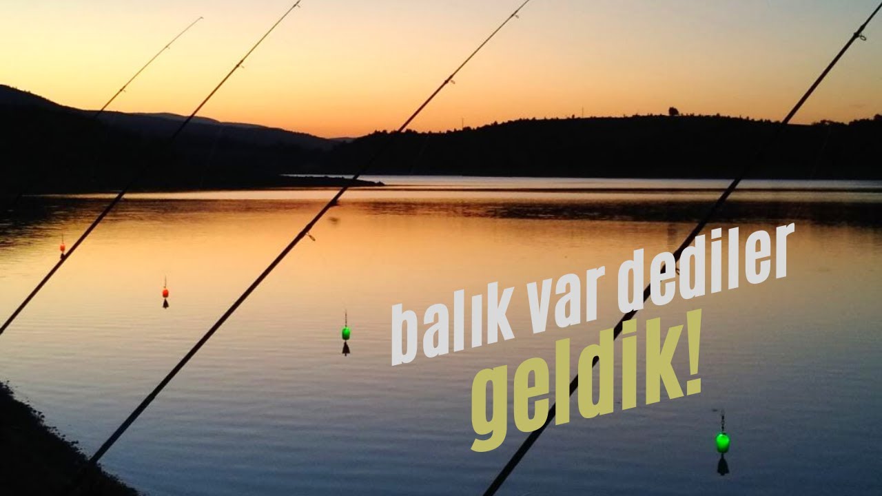 9 GÜNLÜK YENİ KAMP SERİSİ | 2.BÖLÜM | #Kamp#sazan#balıkavı#sazanavı#camping #fishing