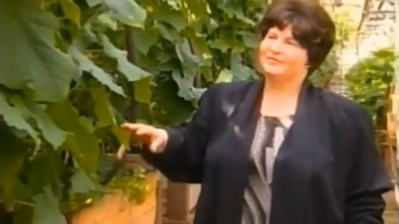 МЯУНДЖА через призму объективов ГТРК МАГАДАН, 2003 год, , Сусуманский район , Колыма