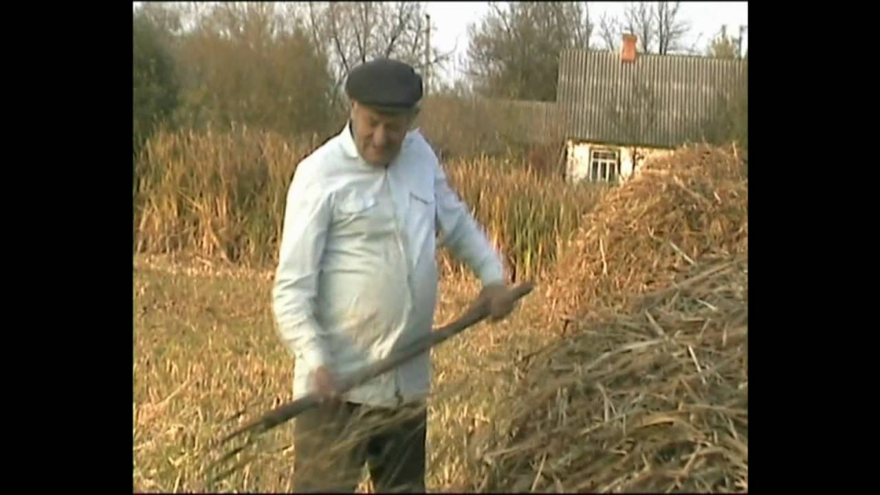Осень 2005 Велимче
